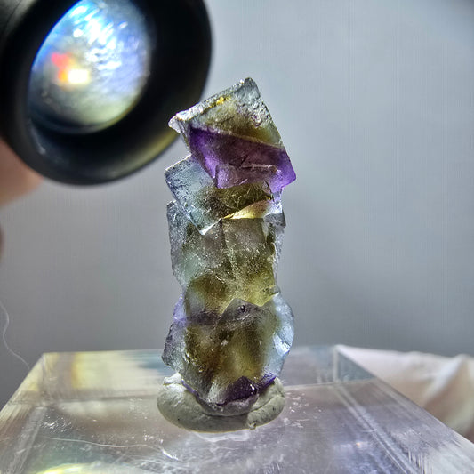 Seltene Phantom Fluorit Würfel Stufe, lila grün gelb, braun Erongo, Namibia 20*9*8mm