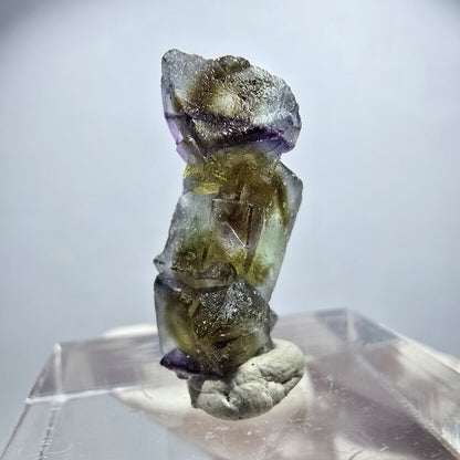 Rare phantom fluorite cube specimen, purple, green, yellow, brown, Erongo, Namibia, 20*9*8mm 