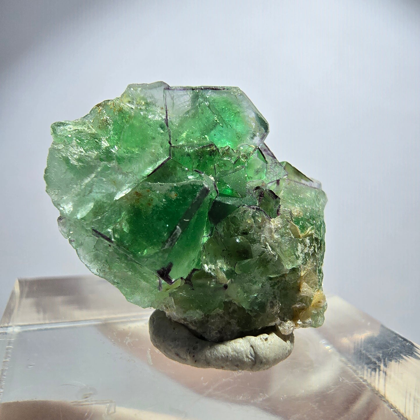 Sehr klare Phantom Fluorit Würfel, zonal Muskovit Stufe Erongo Namibia 23*18*9mm
