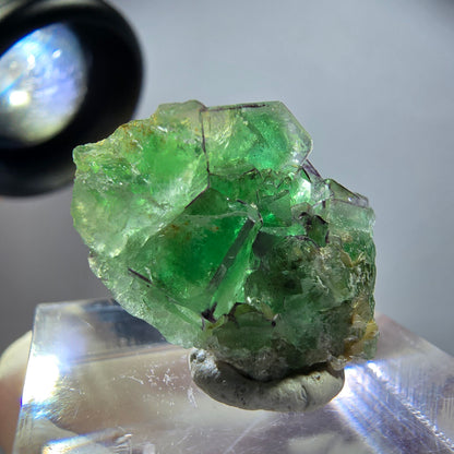 Sehr klare Phantom Fluorit Würfel, zonal Muskovit Stufe Erongo Namibia 23*18*9mm