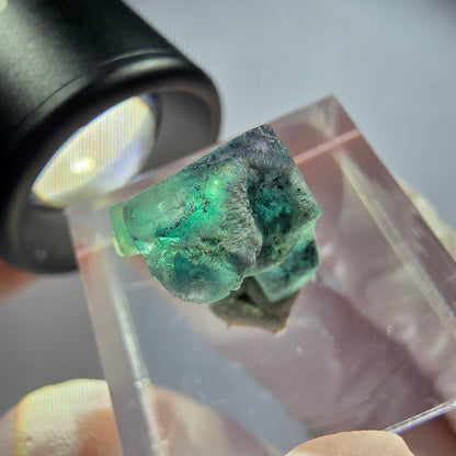 Klare Phantom Fluorit Würfel Stufe, grün lila blau Erongo, Namibia 16*13*7mm