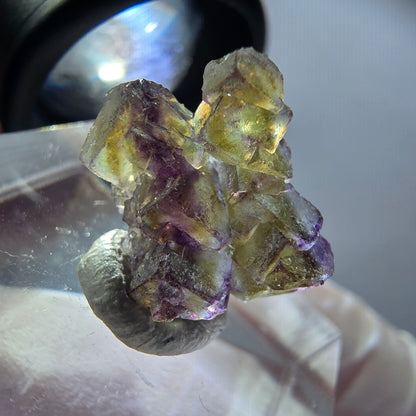 Seltene Phantom Fluorit Würfel Stufe, lila grün gelb, braun Erongo, Namibia 15*15*6mm