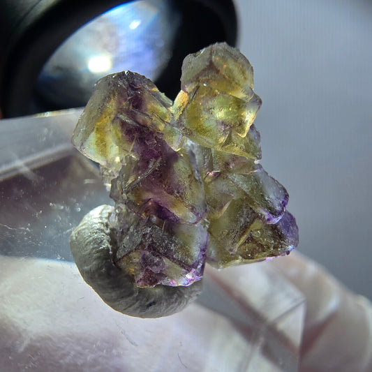 Seltene Phantom Fluorit Würfel Stufe, lila grün gelb, braun Erongo, Namibia 15*15*6mm