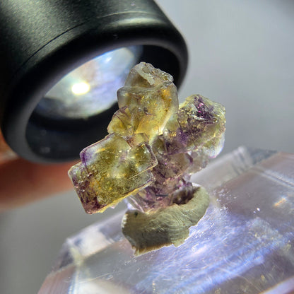 Seltene Phantom Fluorit Würfel Stufe, lila grün gelb, braun Erongo, Namibia 15*15*6mm