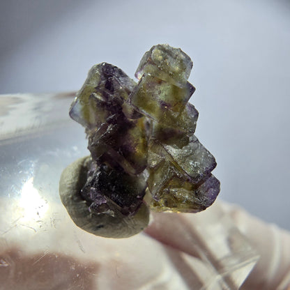 Seltene Phantom Fluorit Würfel Stufe, lila grün gelb, braun Erongo, Namibia 15*15*6mm