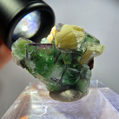 Rare phantom fluorite, zonal, schorl tourmaline, muscovite specimen Erongo, Namibia 26*22*17mm 