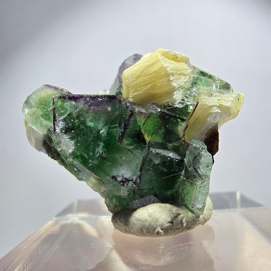 Rare phantom fluorite, zonal, schorl tourmaline, muscovite specimen Erongo, Namibia 26*22*17mm 