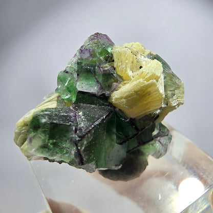 Rare phantom fluorite, zonal, schorl tourmaline, muscovite specimen Erongo, Namibia 26*22*17mm 