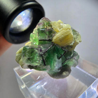Rare phantom fluorite, zonal, schorl tourmaline, muscovite specimen Erongo, Namibia 26*22*17mm 