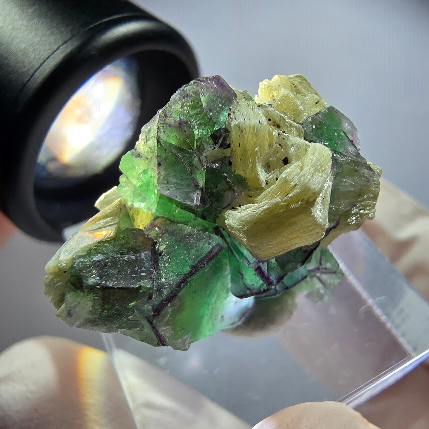 Rare phantom fluorite, zonal, schorl tourmaline, muscovite specimen Erongo, Namibia 26*22*17mm 