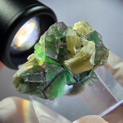 Rare phantom fluorite, zonal, schorl tourmaline, muscovite specimen Erongo, Namibia 26*22*17mm 