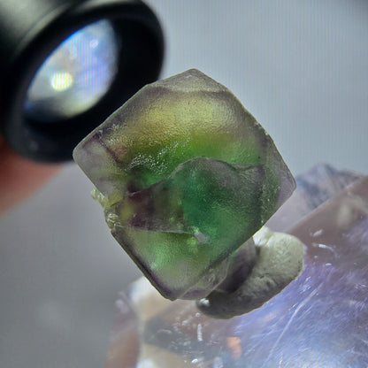 Seltener Phantom Fluorit Würfel Kristall, grün lila Erongo, Namibia 15*12*10mm