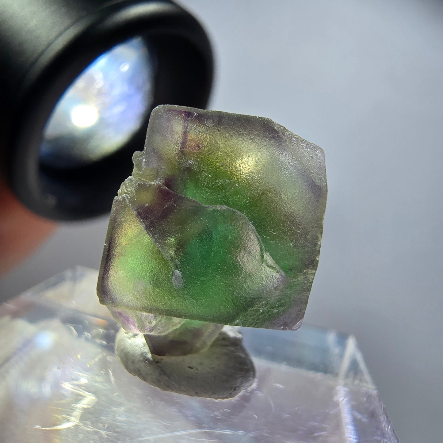 Seltener Phantom Fluorit Würfel Kristall, grün lila Erongo, Namibia 15*12*10mm