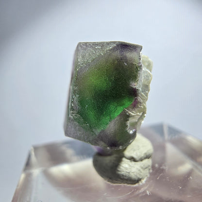 Seltener Phantom Fluorit Würfel Kristall, grün lila Erongo, Namibia 15*12*10mm
