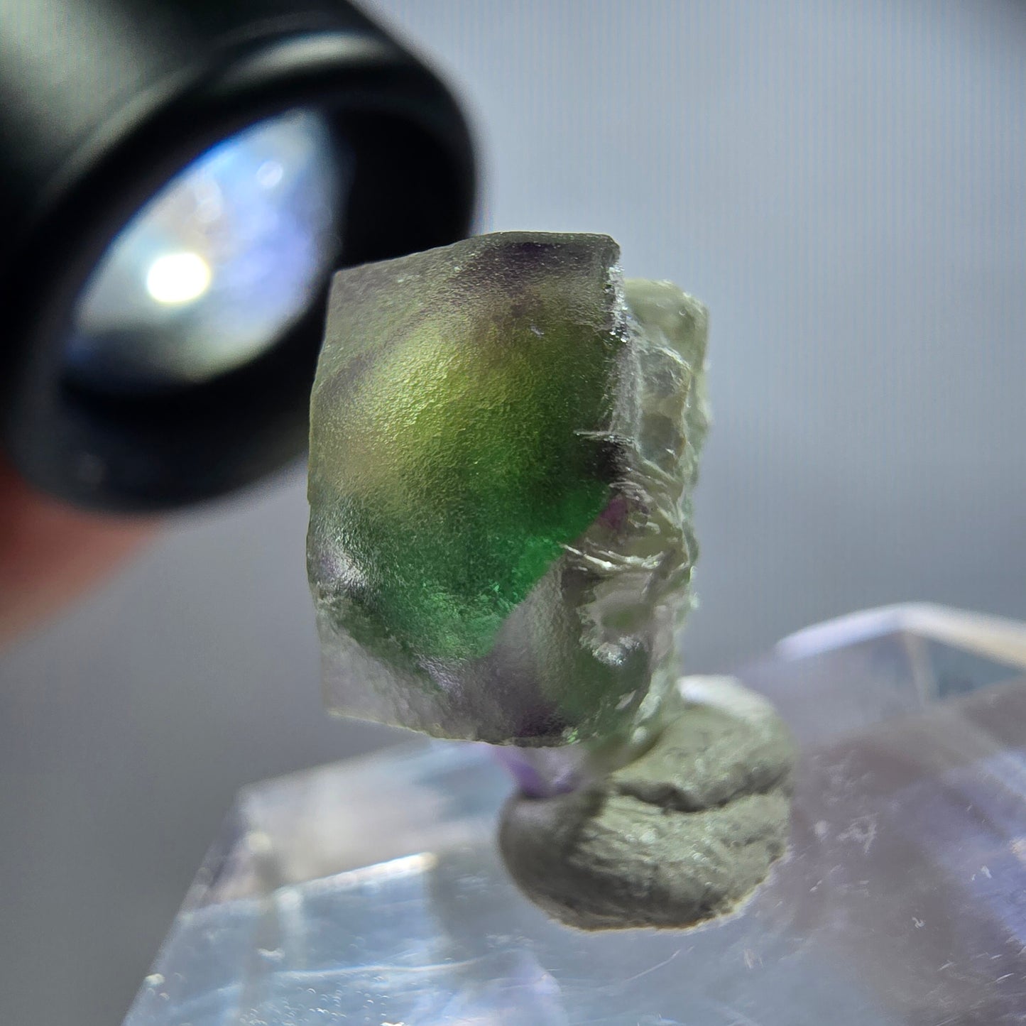 Seltener Phantom Fluorit Würfel Kristall, grün lila Erongo, Namibia 15*12*10mm