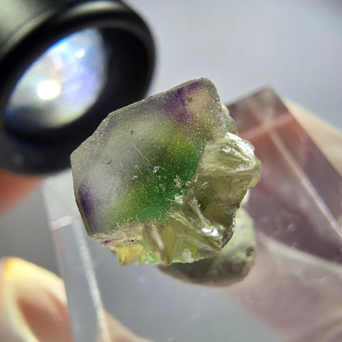 Seltener Phantom Fluorit Würfel Kristall, grün lila Erongo, Namibia 15*12*10mm