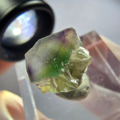 Seltener Phantom Fluorit Würfel Kristall, grün lila Erongo, Namibia 15*12*10mm