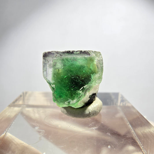 Rare phantom fluorite cube, schorl tourmaline, muscovite Erongo, Namibia 13*12*10mm 