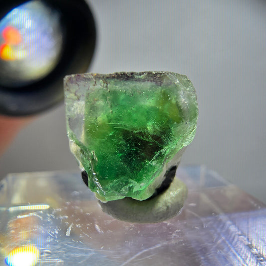 Rare phantom fluorite cube, schorl tourmaline, muscovite Erongo, Namibia 13*12*10mm 