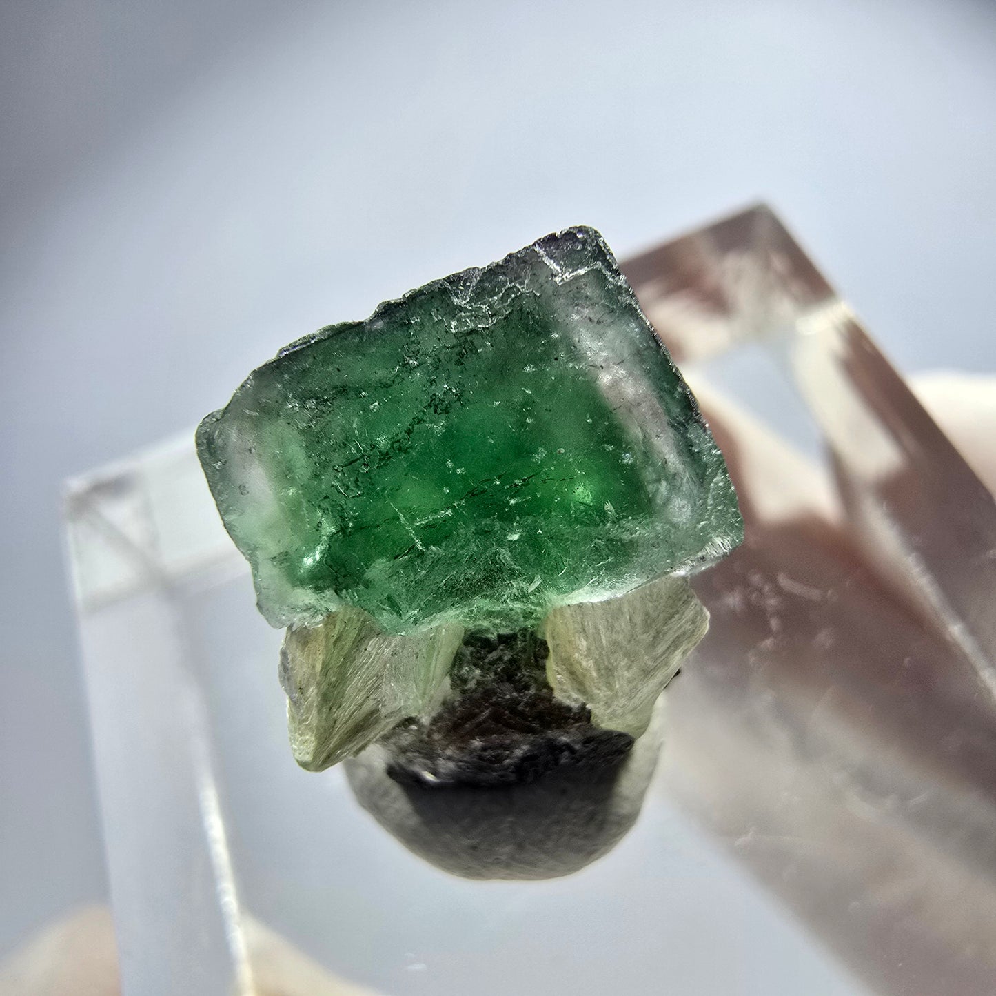 Seltener Phantom Fluorit Würfel, Schörl Turmalin, Muskovit Erongo, Namibia 13*12*10mm