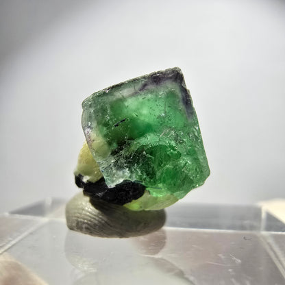 Seltener Phantom Fluorit Würfel, Schörl Turmalin, Muskovit Erongo, Namibia 13*12*10mm