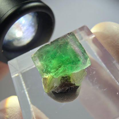 Seltener Phantom Fluorit Würfel, Schörl Turmalin, Muskovit Erongo, Namibia 13*12*10mm
