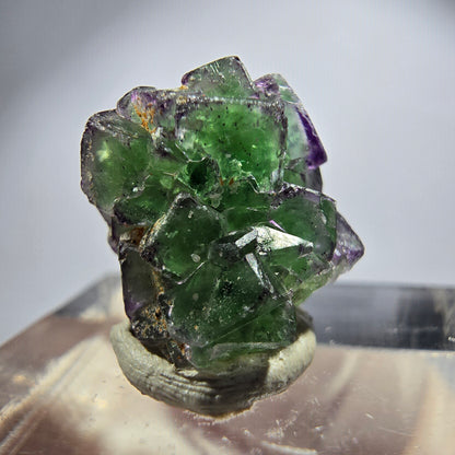 Sehr klare Phantom Fluorit Würfel, zonal Schörl Turmalin Stufe Erongo, Namibia 17*14*12mm