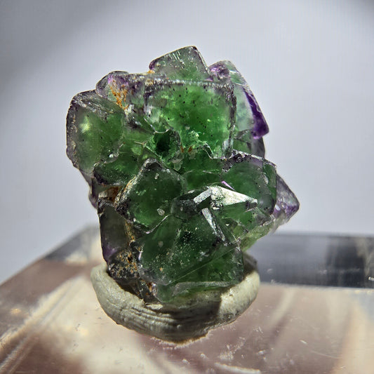 Very clear phantom fluorite cubes, zonal schorl tourmaline specimen Erongo, Namibia 17*14*12mm 