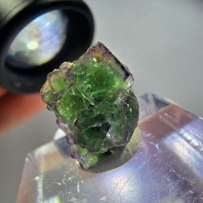 Sehr klare Phantom Fluorit Würfel, zonal Schörl Turmalin Stufe Erongo, Namibia 17*14*12mm
