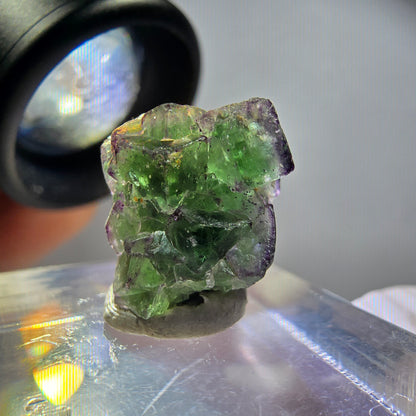 Sehr klare Phantom Fluorit Würfel, zonal Schörl Turmalin Stufe Erongo, Namibia 17*14*12mm