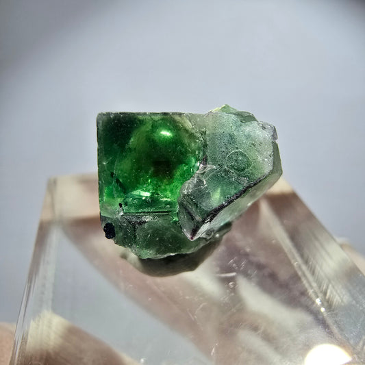 Rare phantom fluorite, zonal, schorl tourmaline, muscovite specimen Erongo, Namibia 15*15*13mm 
