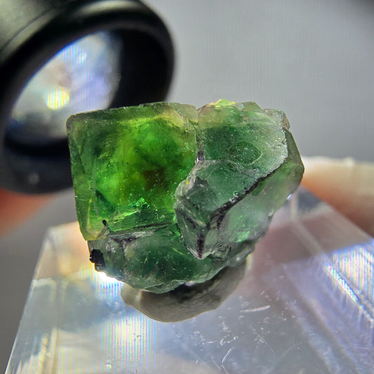 Rare phantom fluorite, zonal, schorl tourmaline, muscovite specimen Erongo, Namibia 15*15*13mm 