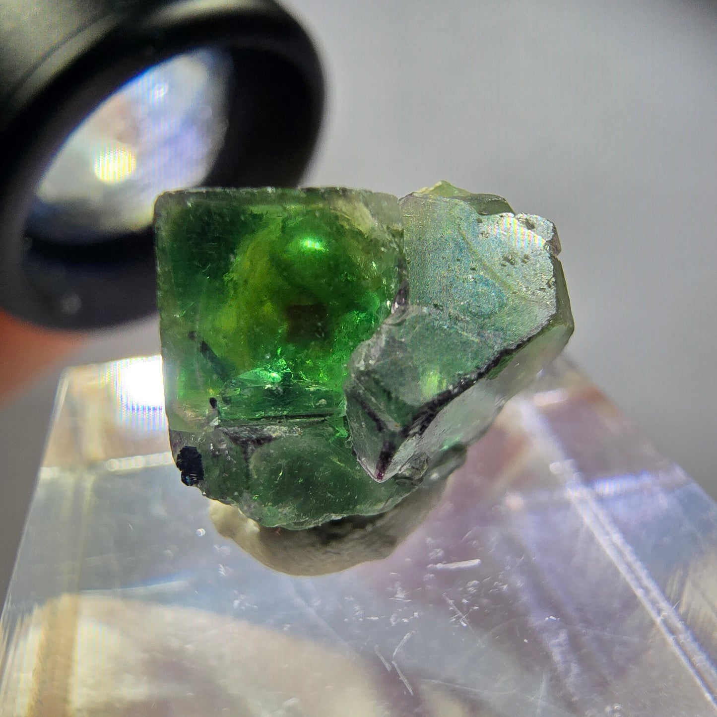 Rare phantom fluorite, zonal, schorl tourmaline, muscovite specimen Erongo, Namibia 15*15*13mm 
