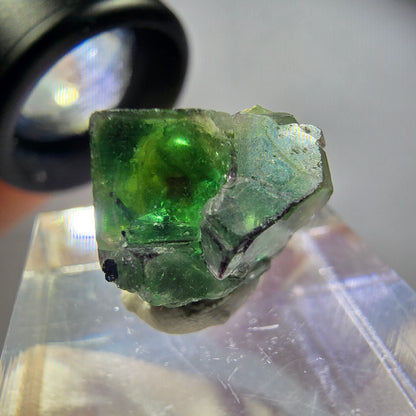 Rare phantom fluorite, zonal, schorl tourmaline, muscovite specimen Erongo, Namibia 15*15*13mm 
