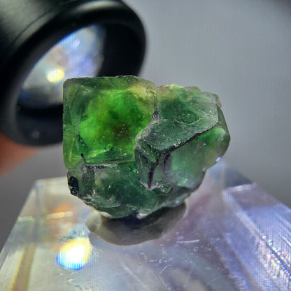 Rare phantom fluorite, zonal, schorl tourmaline, muscovite specimen Erongo, Namibia 15*15*13mm 