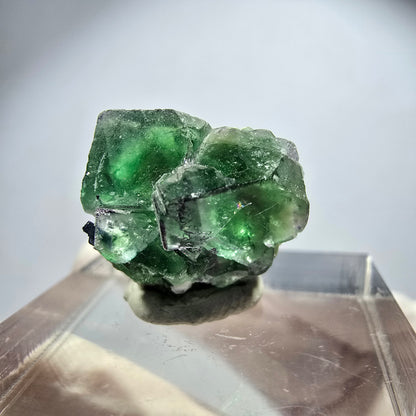 Rare phantom fluorite, zonal, schorl tourmaline, muscovite specimen Erongo, Namibia 15*15*13mm 