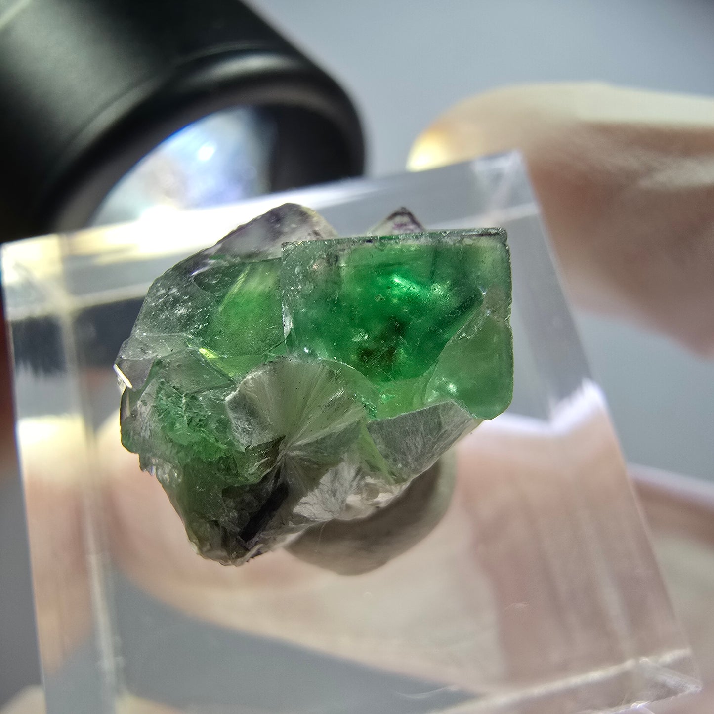 Rare phantom fluorite, zonal, schorl tourmaline, muscovite specimen Erongo, Namibia 15*15*13mm 