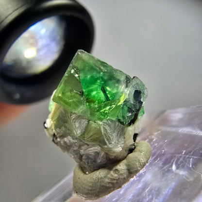 Rare phantom fluorite, zonal, schorl tourmaline, muscovite specimen Erongo, Namibia 15*15*13mm 