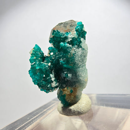 Seltene Dioptas xx auf Calcit XX Stufe Tsumeb Mine, Namibia 24*14*10mm