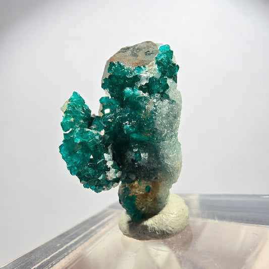 Seltene Dioptas xx auf Calcit XX Stufe Tsumeb Mine, Namibia 24*14*10mm