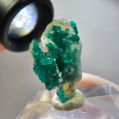 Seltene Dioptas xx auf Calcit XX Stufe Tsumeb Mine, Namibia 24*14*10mm