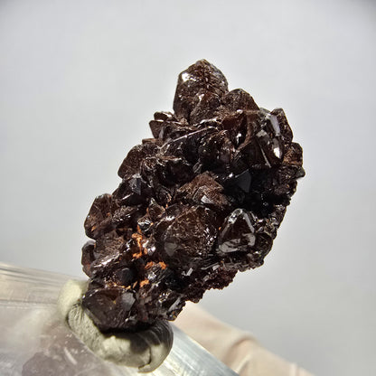Seltene Descloizit XX Stufe braun, glänzend Tsumeb Mine, Namibia 28*17*10mm