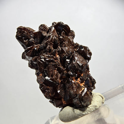 Seltene Descloizit XX Stufe braun, glänzend Tsumeb Mine, Namibia 28*17*10mm