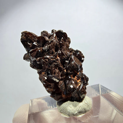 Seltene Descloizit XX Stufe braun, glänzend Tsumeb Mine, Namibia 28*17*10mm