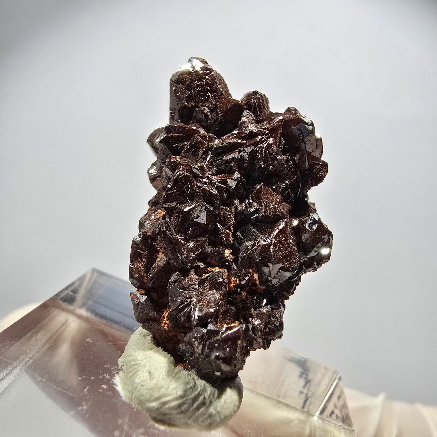 Seltene Descloizit XX Stufe braun, glänzend Tsumeb Mine, Namibia 28*17*10mm