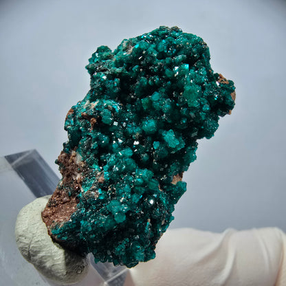 Seltene Dioptas xx auf Matrix Stufe Tsumeb Mine, Namibia 38*22*11mm