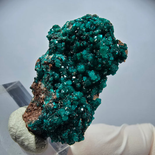 Seltene Dioptas xx auf Matrix Stufe Tsumeb Mine, Namibia 38*22*11mm