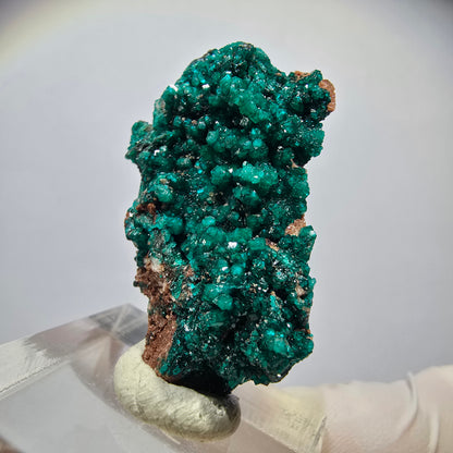 Seltene Dioptas xx auf Matrix Stufe Tsumeb Mine, Namibia 38*22*11mm