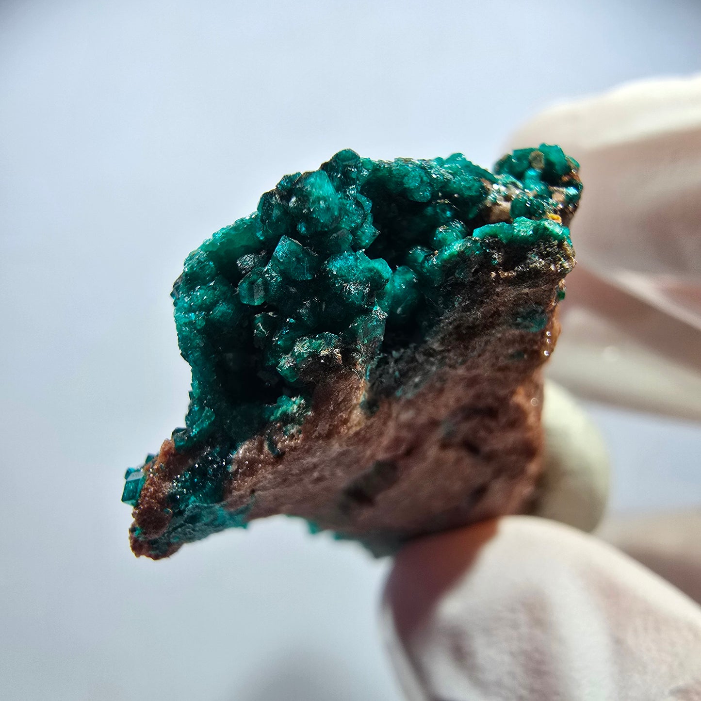 Seltene Dioptas xx auf Matrix Stufe Tsumeb Mine, Namibia 38*22*11mm