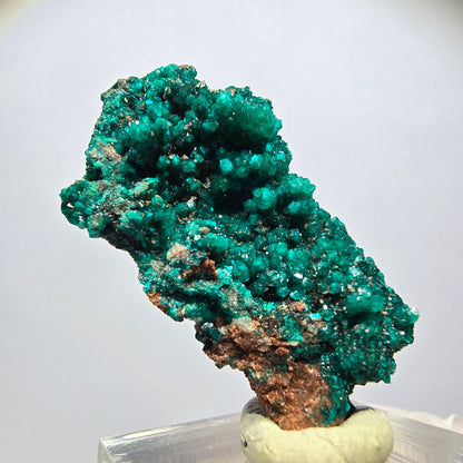 Seltene Dioptas xx auf Matrix Stufe Tsumeb Mine, Namibia 38*22*11mm